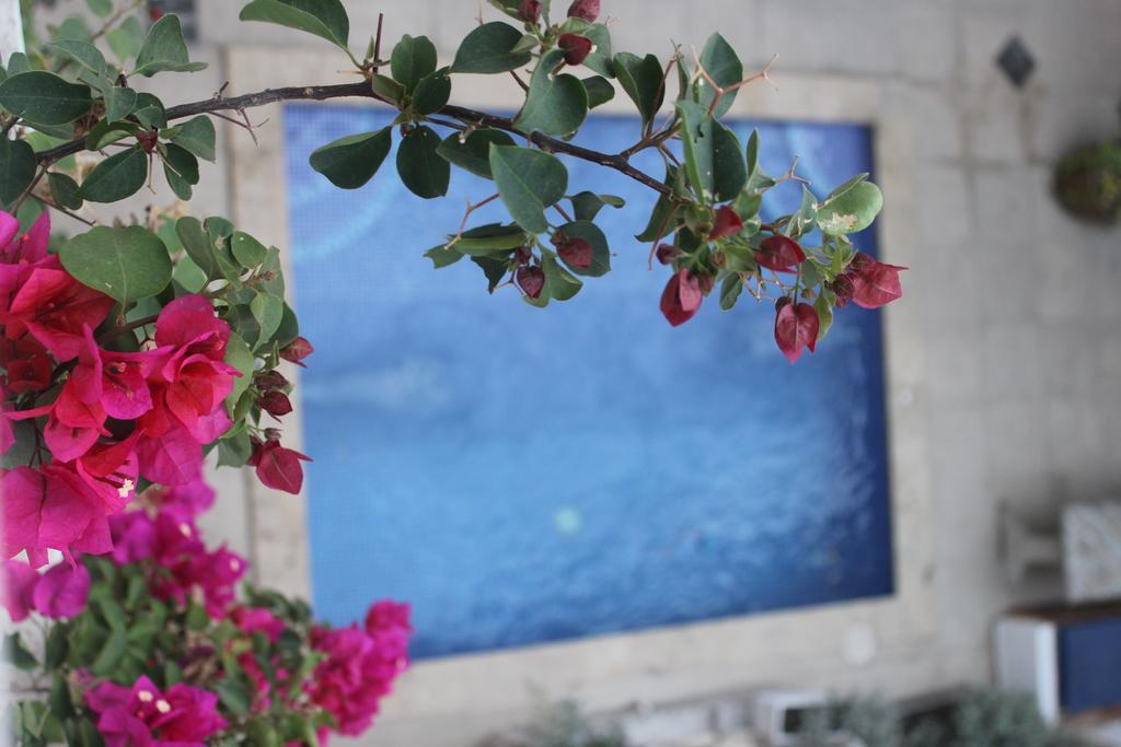Hotel Casa Real Cartagena Eksteriør billede